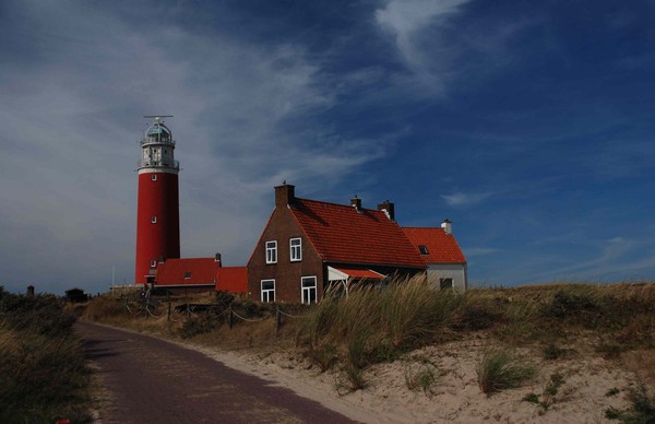 1153_7.jpg