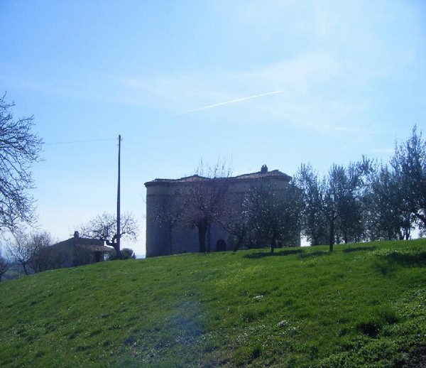 1157_2.jpg