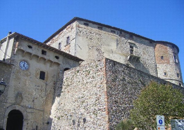 1157_3.jpg