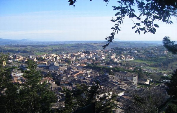 1157_5.jpg