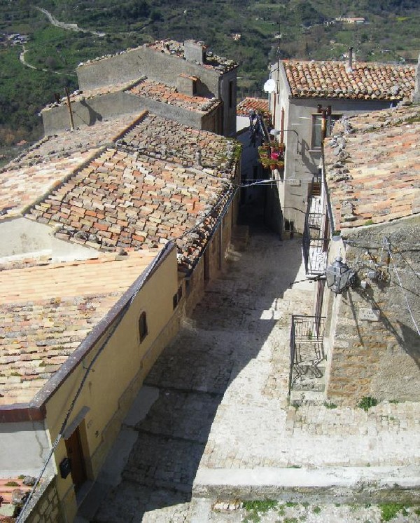 1165_5.jpg