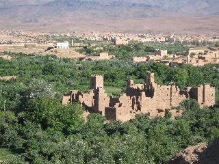 1170_3.jpg