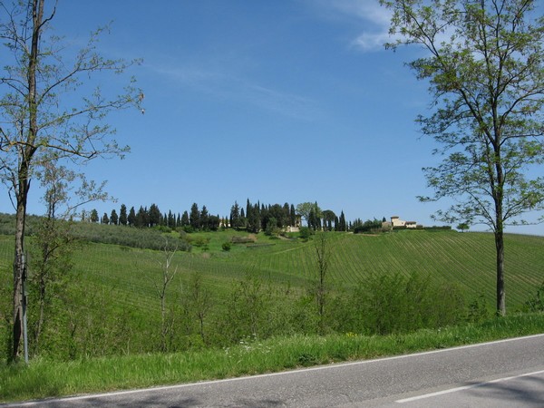 1187_4.jpg