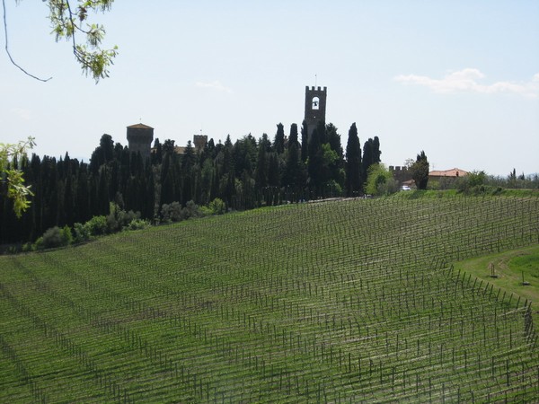 1187_5.jpg