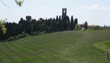 1187_5.jpg 1187_5.jpg