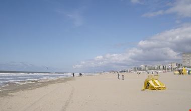 1213_9.jpg 1213_9.jpg