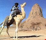 1225_1.jpg 1225_1.jpg