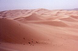 1225_3.jpg