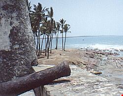 1225_5.jpg 1225_5.jpg