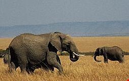 1226_4.jpg 1226_4.jpg