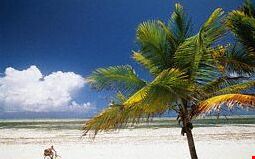 1226_9.jpg 1226_9.jpg