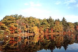 1228_7.jpg