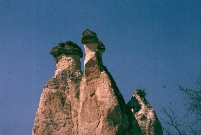 123_3.jpg
