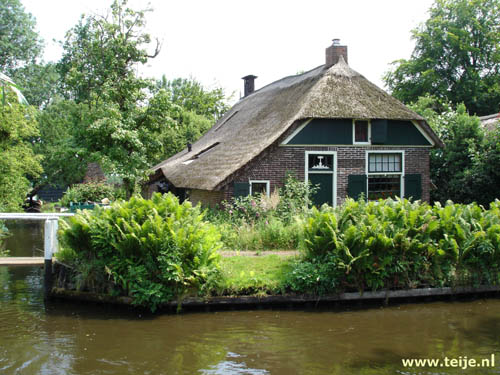 1243_6.jpg