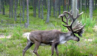 1244_11.jpg 1244_11.jpg