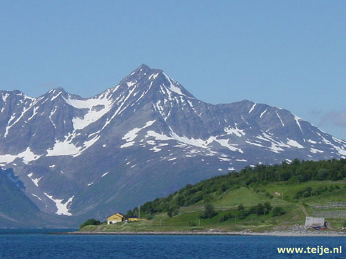 1244_36.jpg