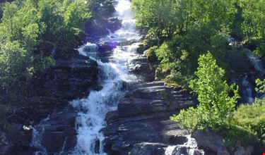 1244_37.jpg 1244_37.jpg