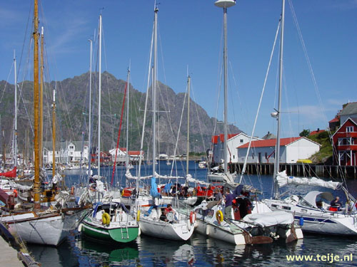 1244_50.jpg
