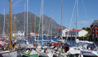 1244_50.jpg 1244_50.jpg