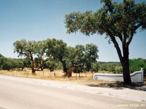 1247_11.jpg