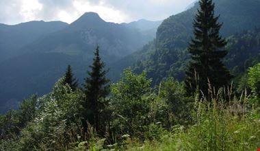 1249_1.jpg 1249_1.jpg