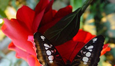 1249_16.jpg 1249_16.jpg