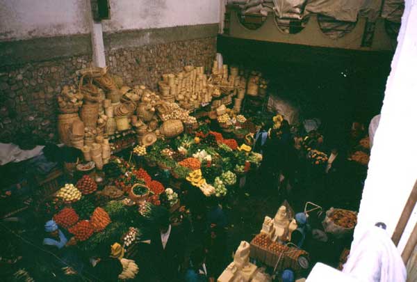 124_10.jpg
