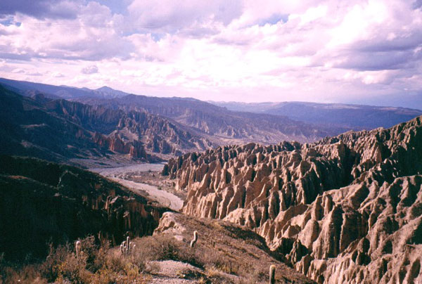 124_2.jpg