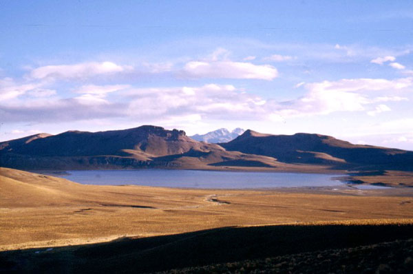 124_5.jpg