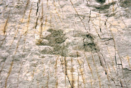 124_6.jpg