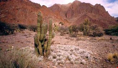 124_7.jpg 124_7.jpg