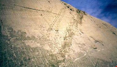 124_8.jpg 124_8.jpg