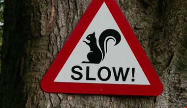 1252_15.jpg 1252_15.jpg