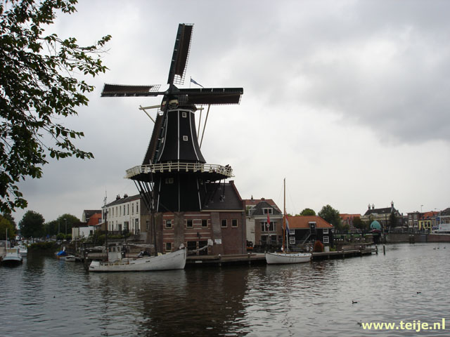 1252_2.jpg