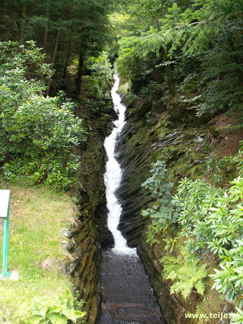 1252_26.jpg