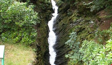 1252_26.jpg 1252_26.jpg