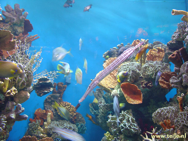 1254_13.jpg