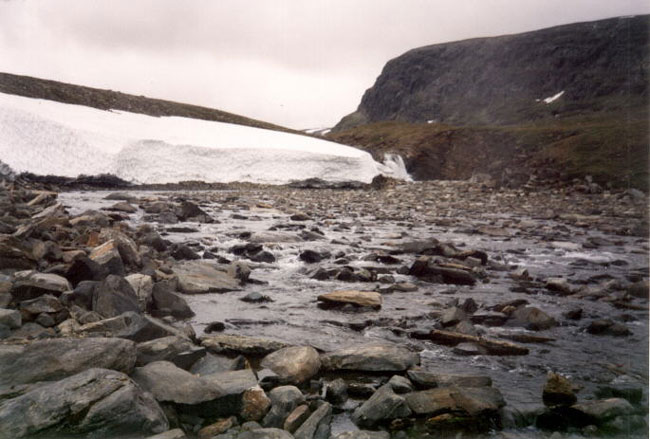 125_14.jpg