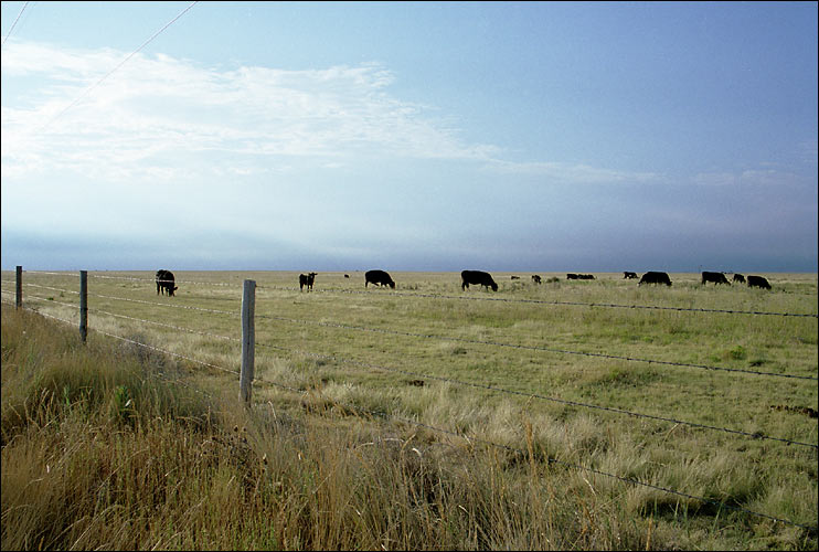 1260_14.jpg