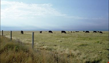 1260_14.jpg 1260_14.jpg