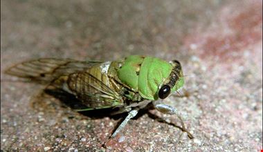 1260_2.jpg 1260_2.jpg