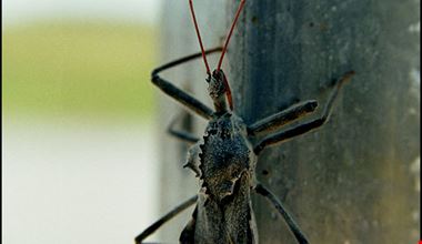 1260_3.jpg 1260_3.jpg