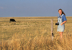 1260_8.jpg