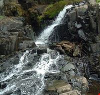 1261_1.jpg 1261_1.jpg