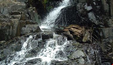 1261_1.jpg 1261_1.jpg