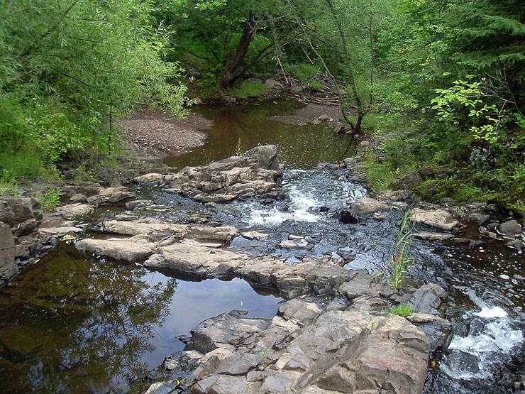 1261_2.jpg