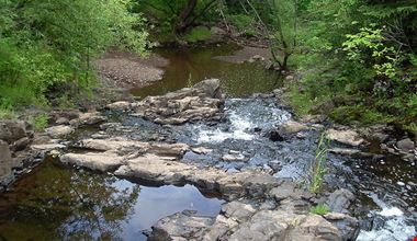 1261_2.jpg 1261_2.jpg
