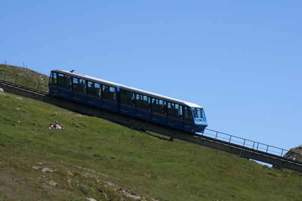 1263_6.jpg