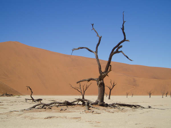 126_3.jpg
