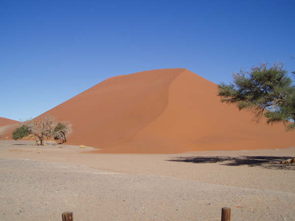 126_4.jpg